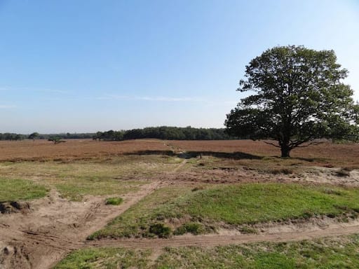 Foto 18 van Cornelis Bakkerlaan 39