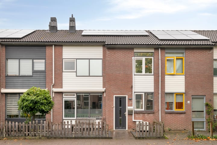 Photo 4 of Pampuspad 19