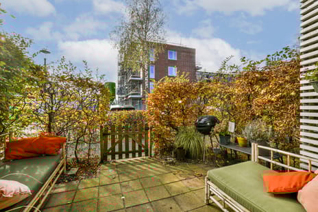 undefined main image