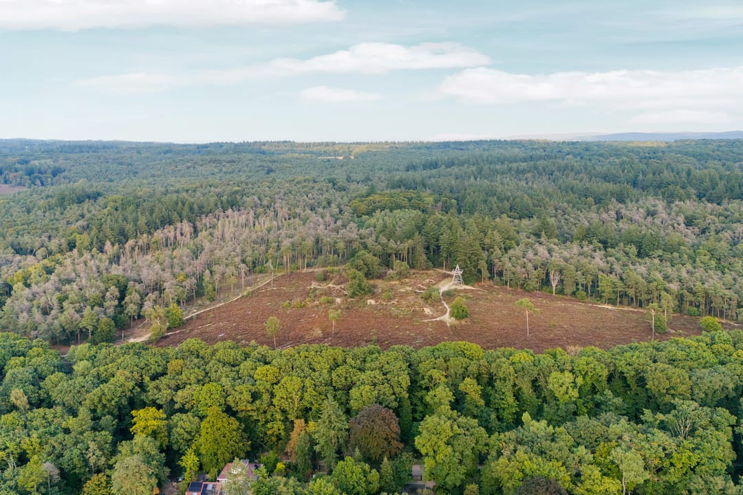 Foto 107 van Bovensteweg 42