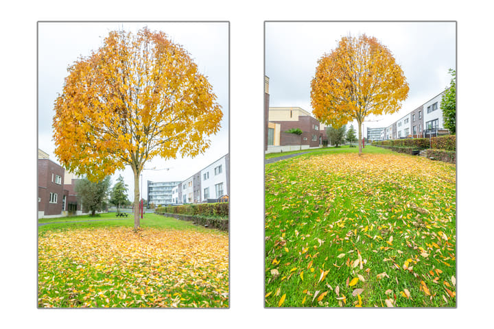 Foto 65 van Hogerhoeve 37