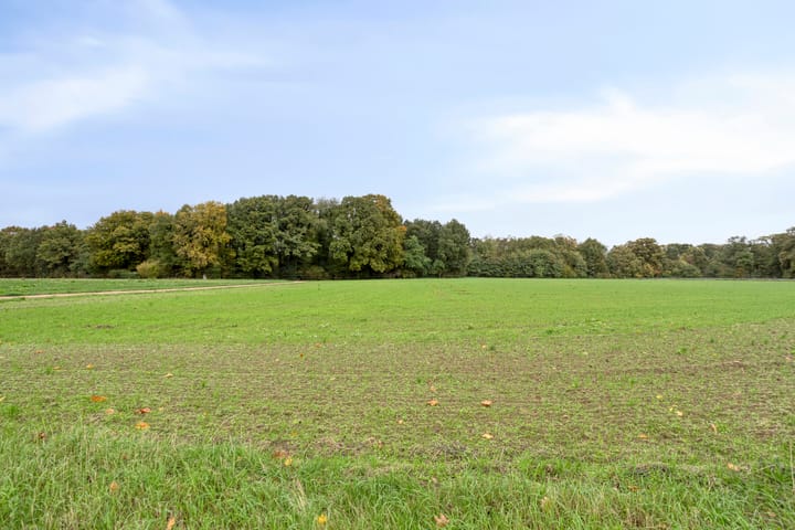 Photo 34 of Hagelkruisweg 49