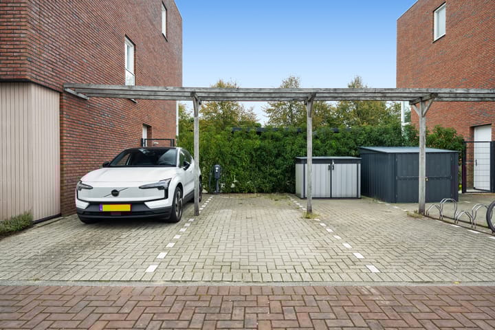 Photo 20 of Albert Sabinhof 25