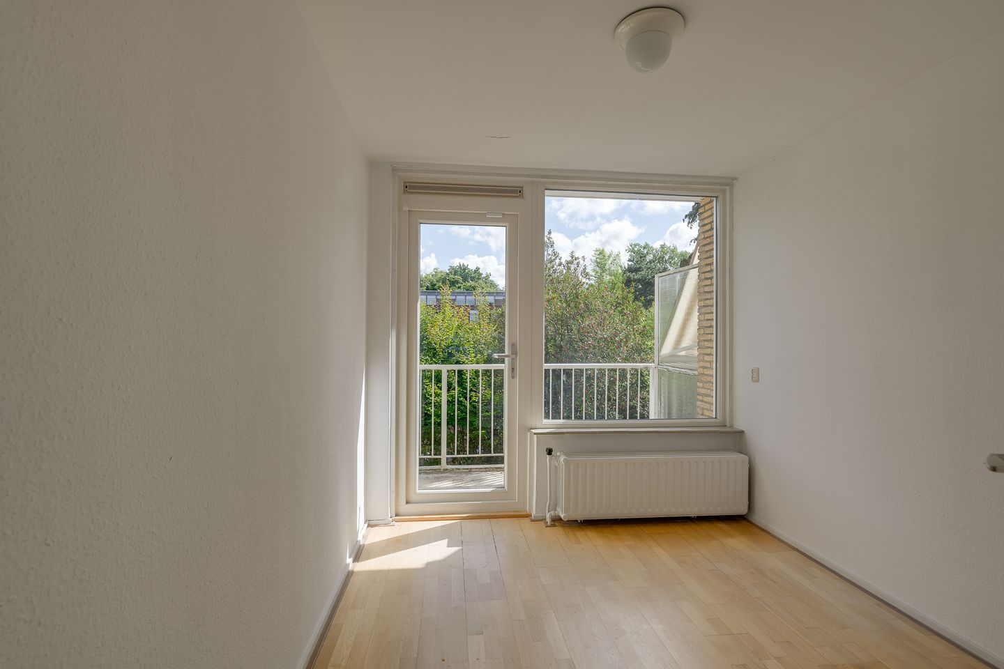 Foto 20 van Saffierhorst 59