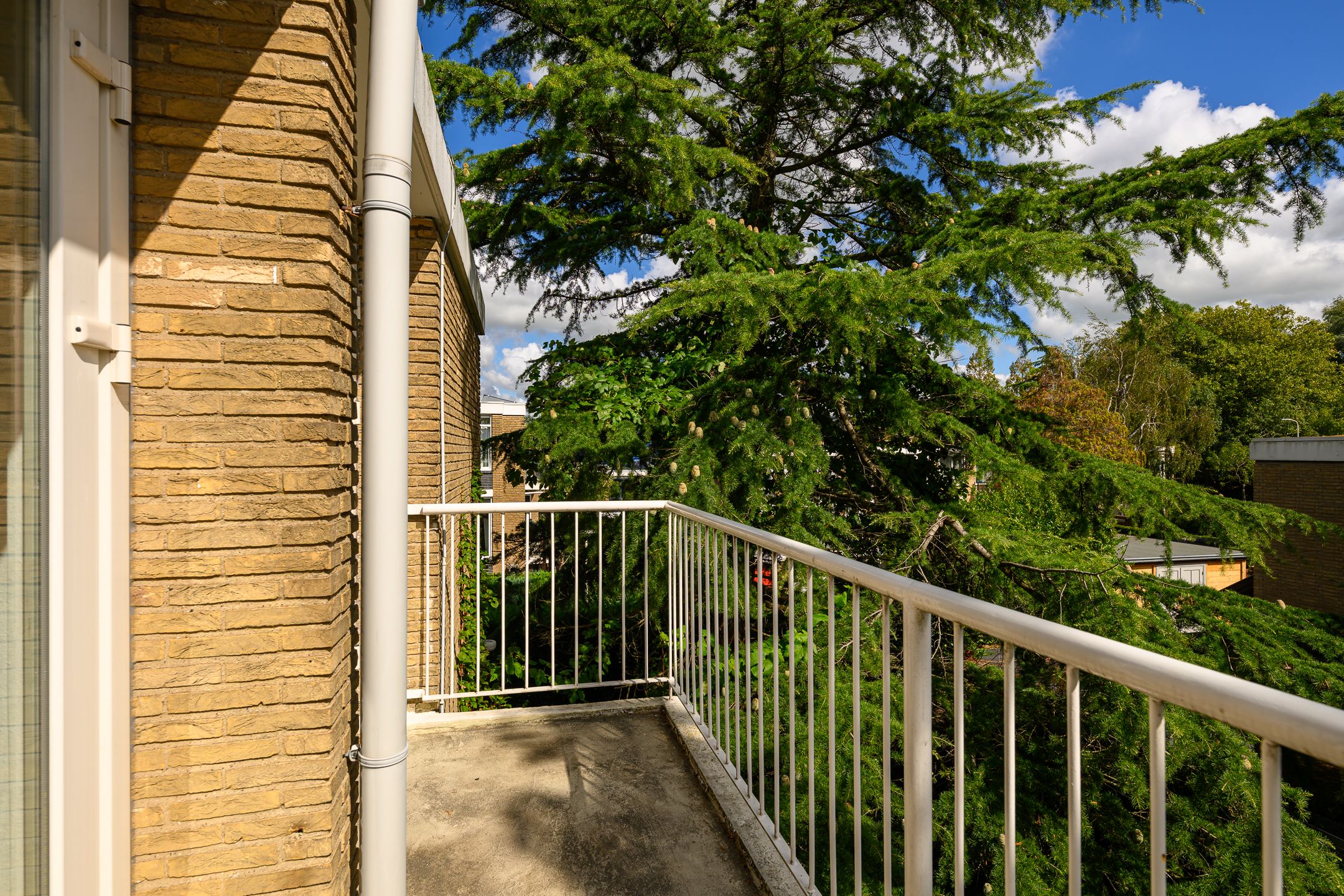 Foto 21 van Saffierhorst 59