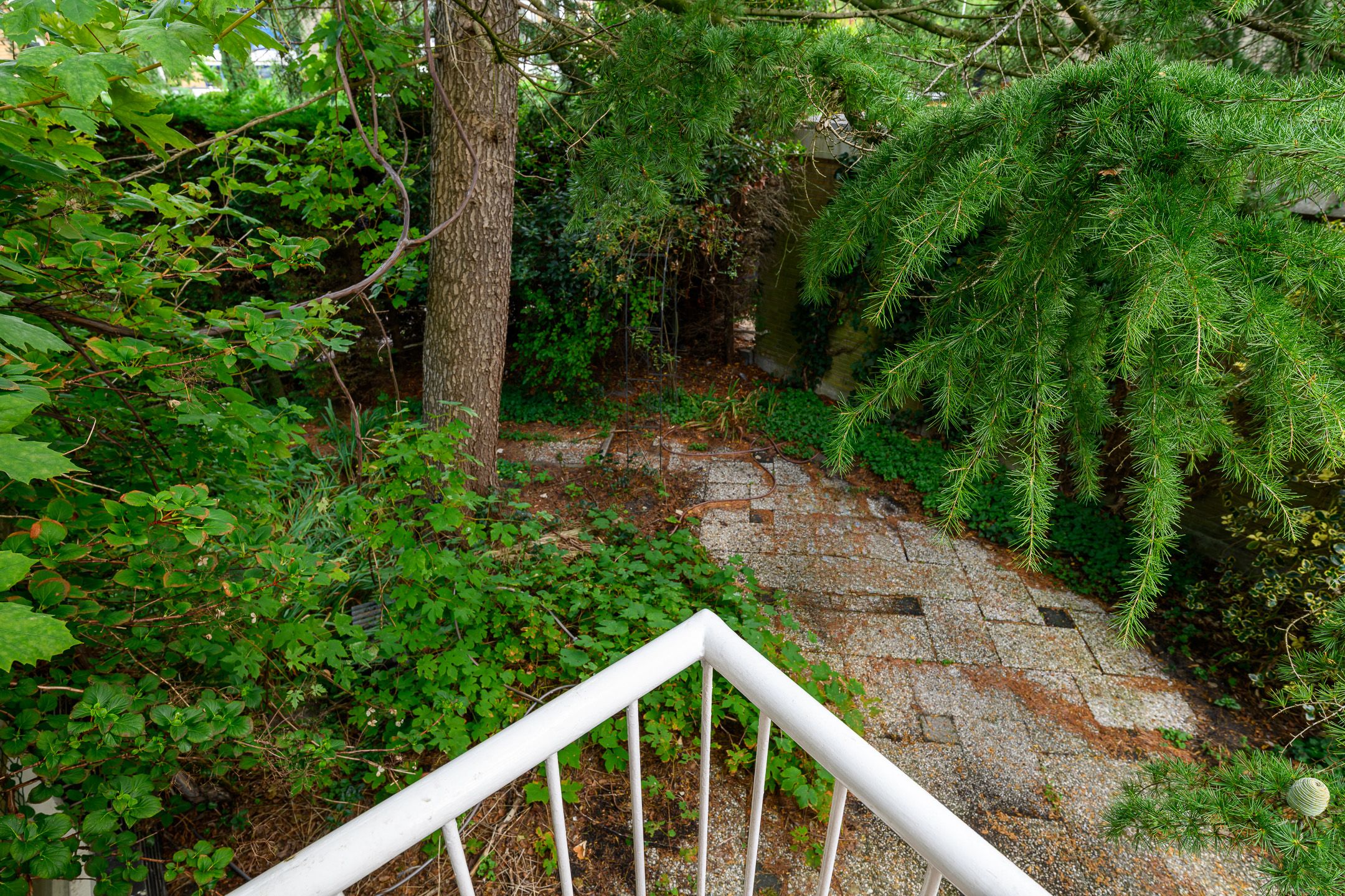 Foto 33 van Saffierhorst 59