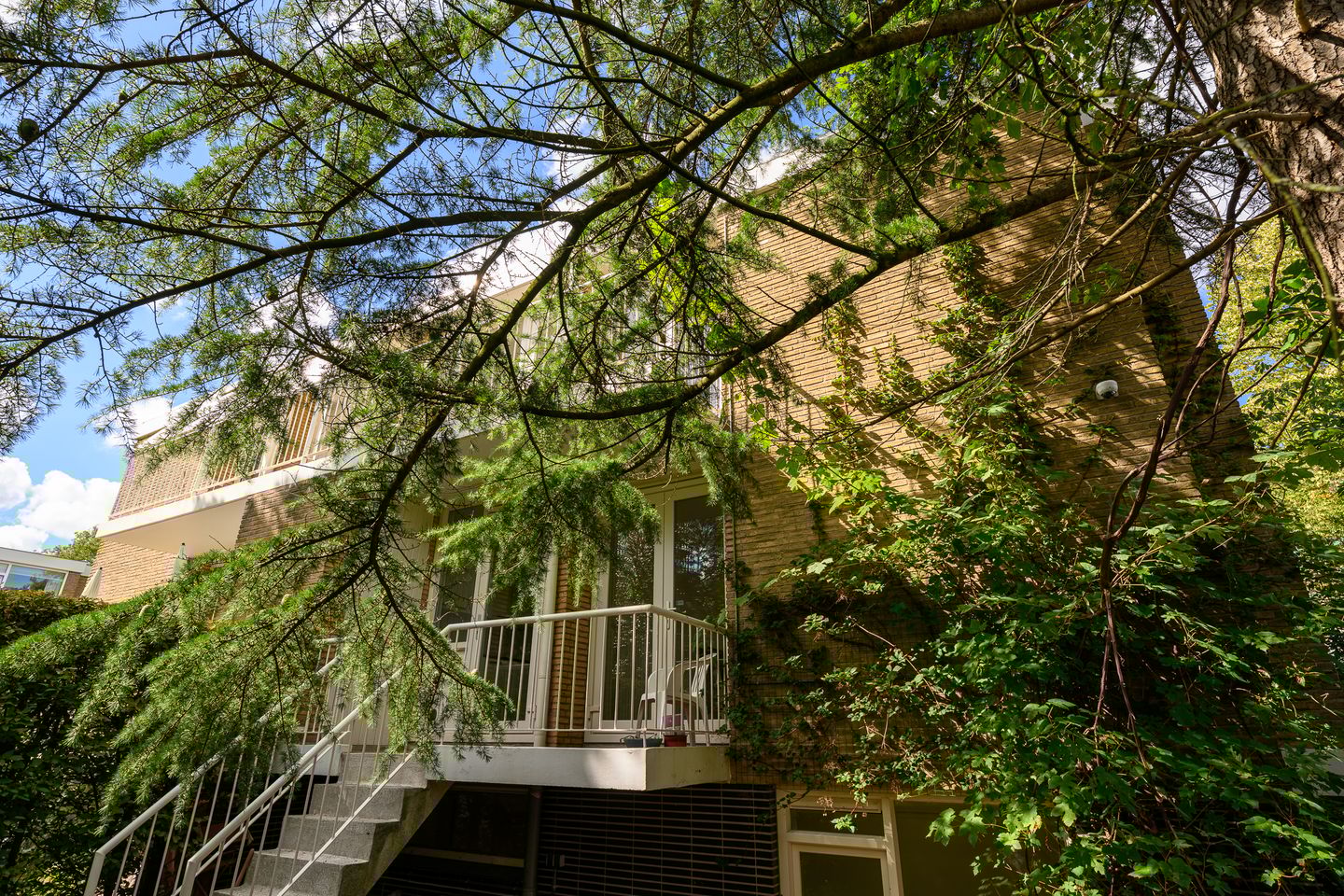 Foto 34 van Saffierhorst 59