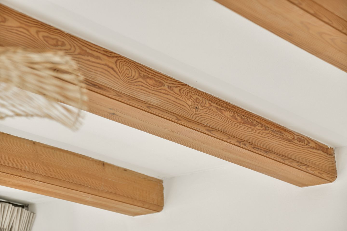 Foto 20 van Schippersstraat 6-B