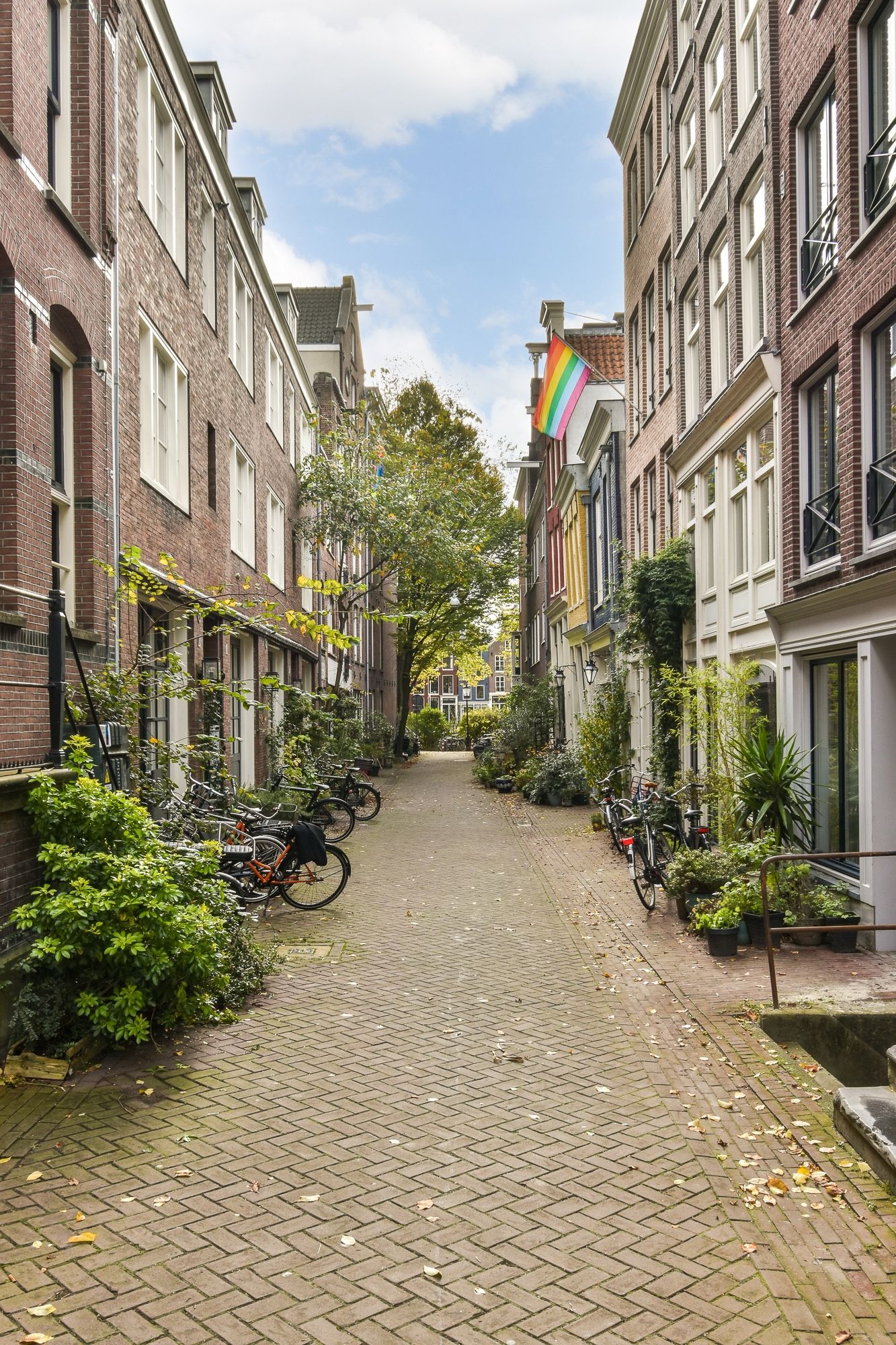 Foto 33 van Schippersstraat 6-B