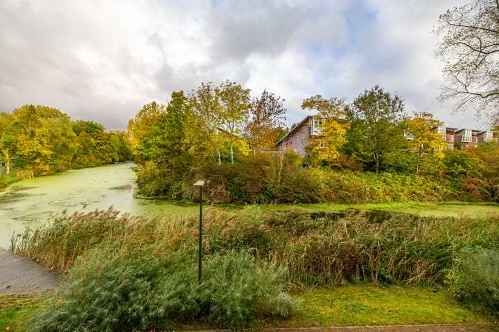 Foto 15 van Helper Westsingel 49-8