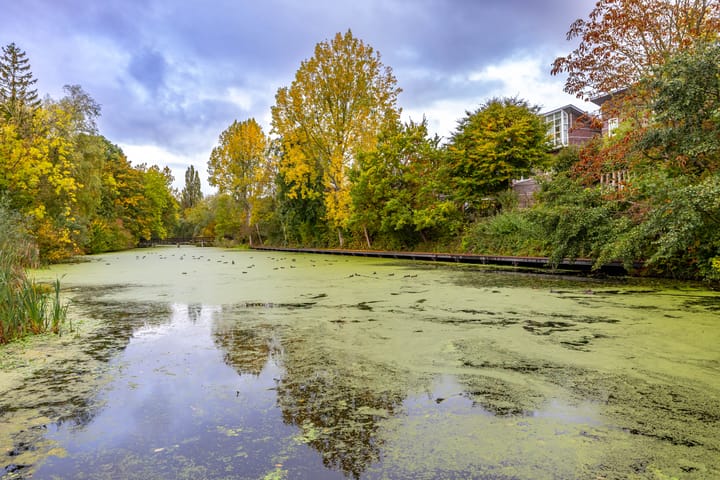 Foto 32 van Helper Westsingel 49-8