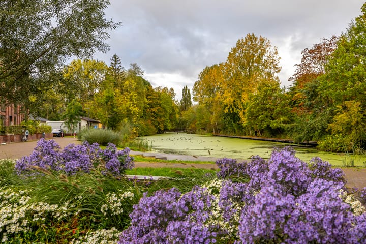 Foto 33 van Helper Westsingel 49-8