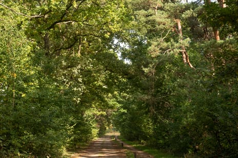 Hambree 10 secondary image