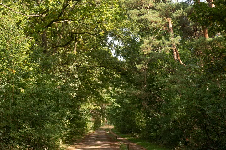 Foto 2 van Hambree 10