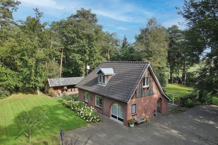 Hambree 10 main image