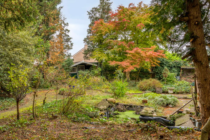 Photo 45 of Molensingel 18