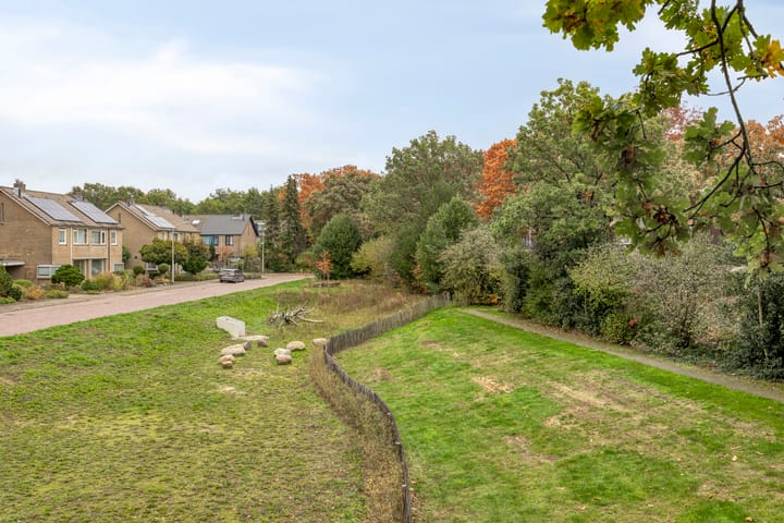 Photo 50 of Molensingel 18