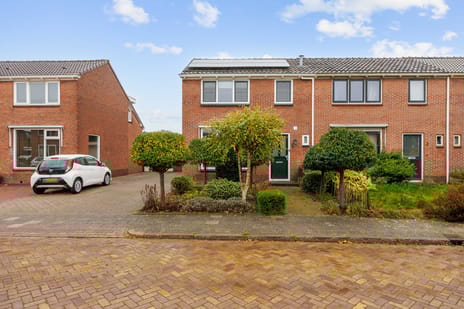 undefined main image