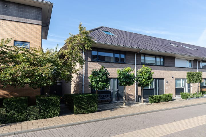 Foto 1 van Duizendschoon 3