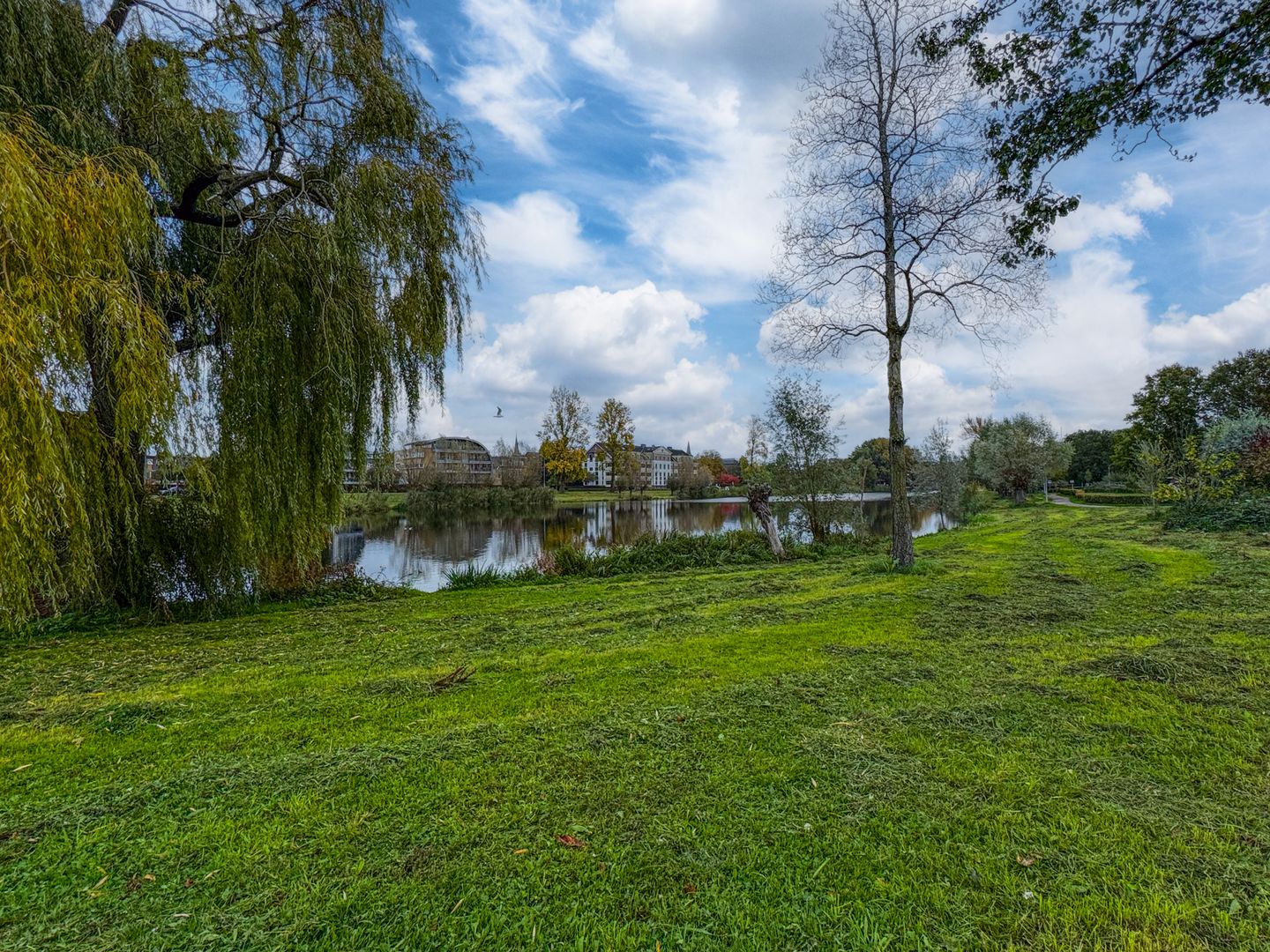 Foto 40 van Diepvoorde 1131