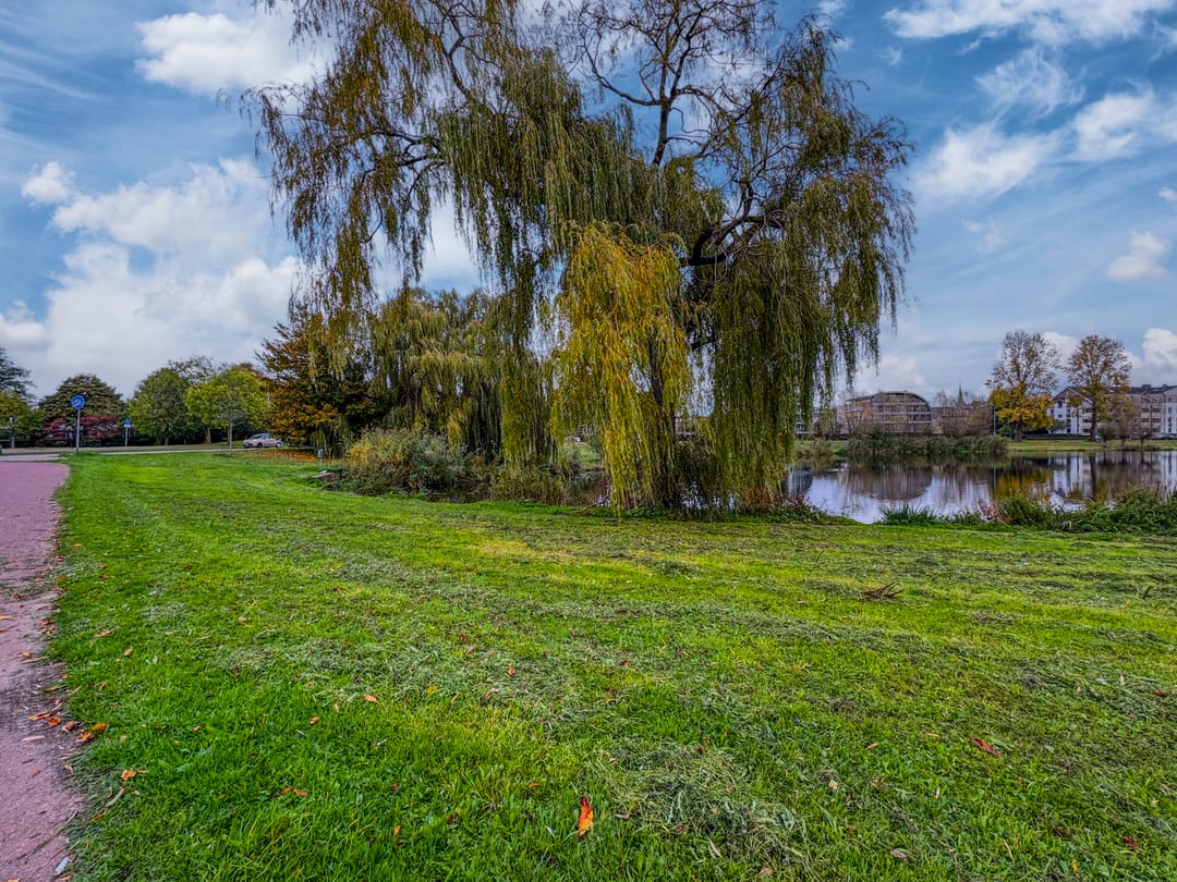 Foto 41 van Diepvoorde 1131