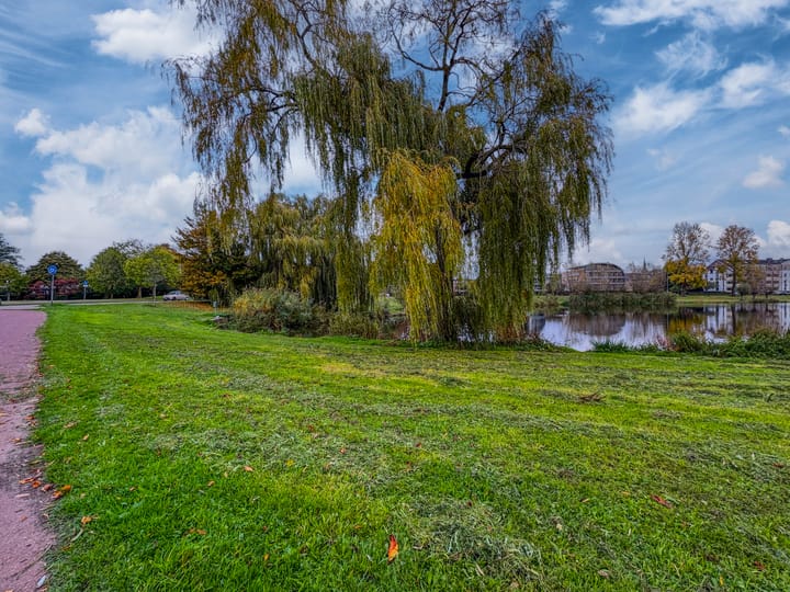 Photo 41 of Diepvoorde 1131