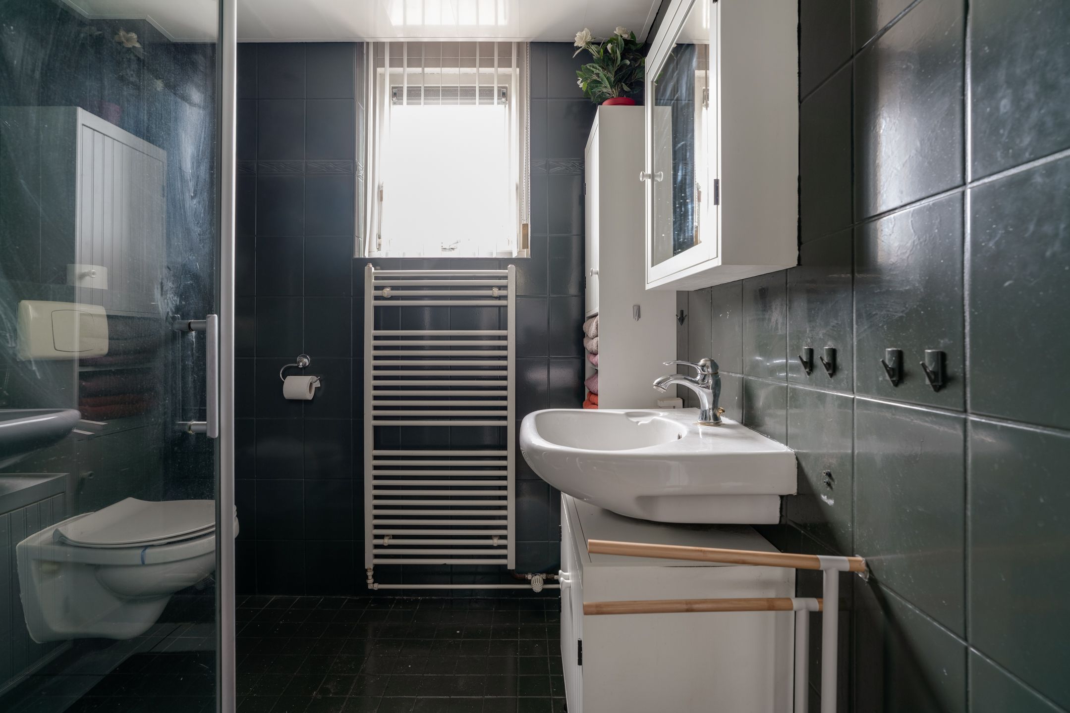 Foto 30 van Diepvoorde 1131