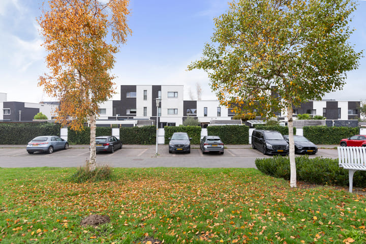 Foto 37 van Vuurvlinder 146