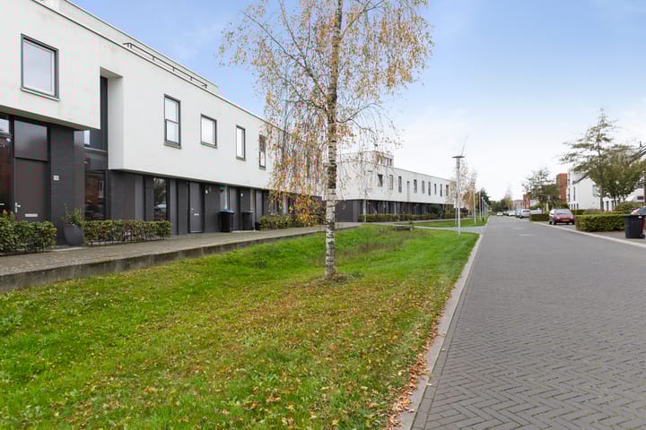 Foto 38 van Vuurvlinder 146