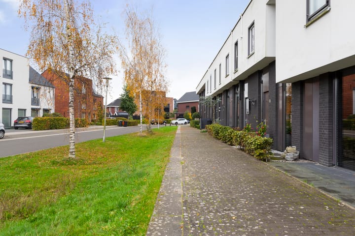 Foto 40 van Vuurvlinder 146