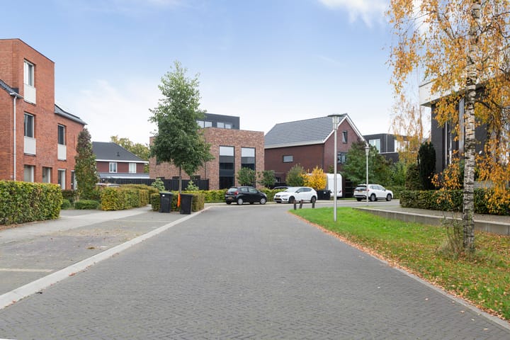 Foto 41 van Vuurvlinder 146