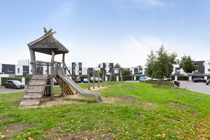 Foto 43 van Vuurvlinder 146