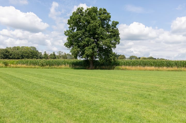 Photo 18 of Voorbroek 1