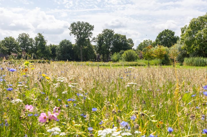 Photo 22 of Voorbroek 1