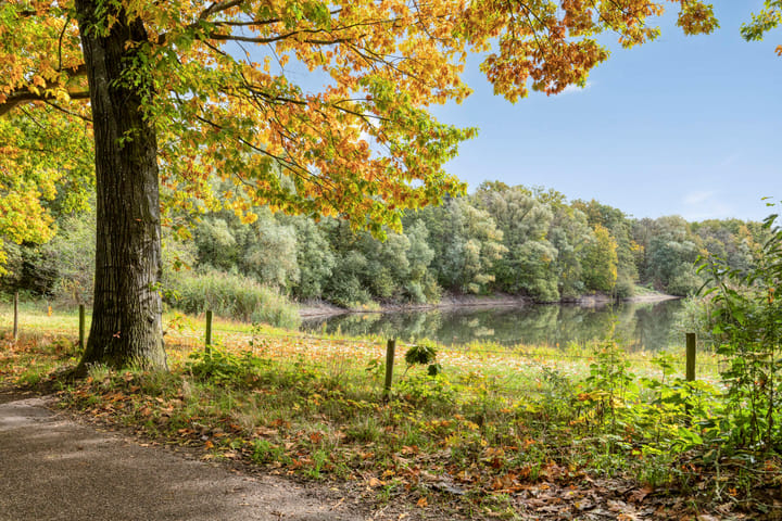 Foto 36 van Roessinkweg 4