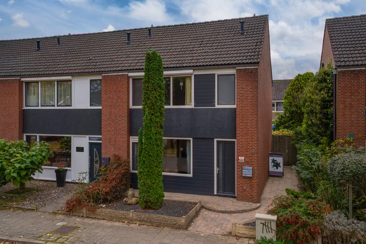 Foto 2 van Heilige Stoel 5335