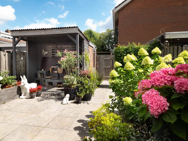 Foto 23 van Meijhorst 1220