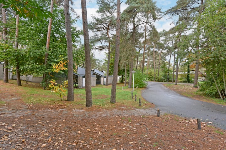 Photo 26 of Vennenbos 542