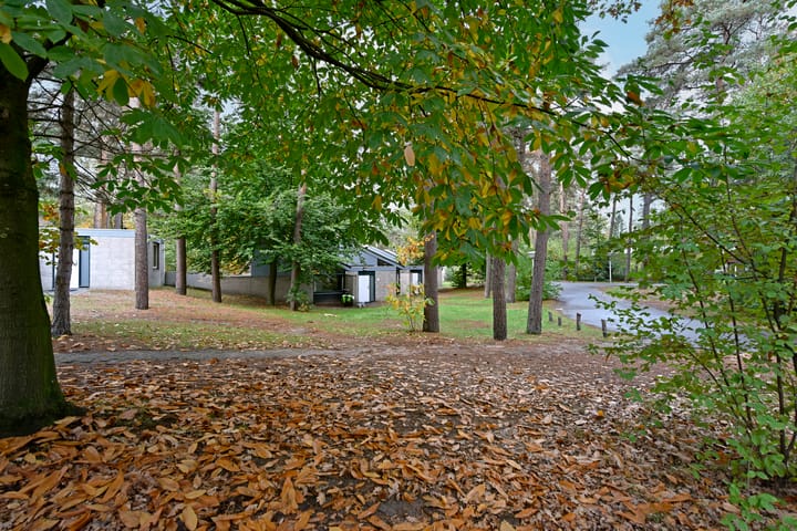 Photo 27 of Vennenbos 542