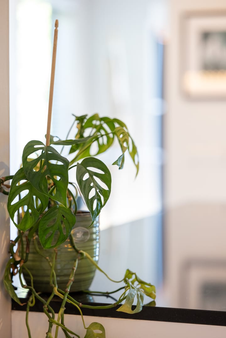 Foto 15 van Haagwinde 14