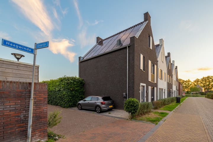 Foto 78 van Haagwinde 14