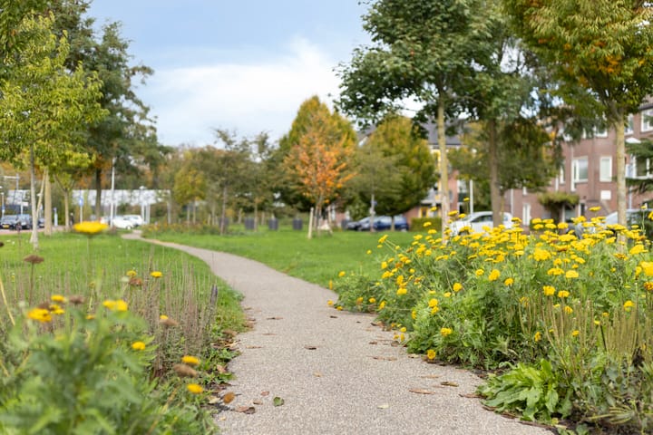 Foto 34 van Gazellestraat 126