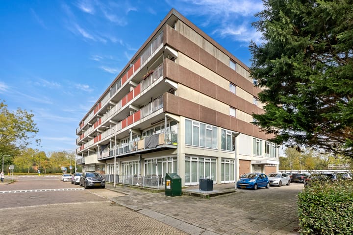 Foto 5 van Witte de Withlaan 22