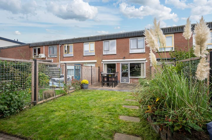 Foto 34 van Zebraspoor 400