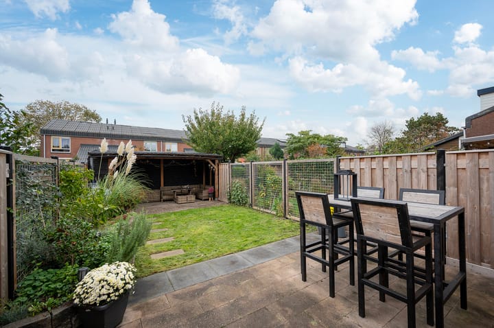 Foto 35 van Zebraspoor 400