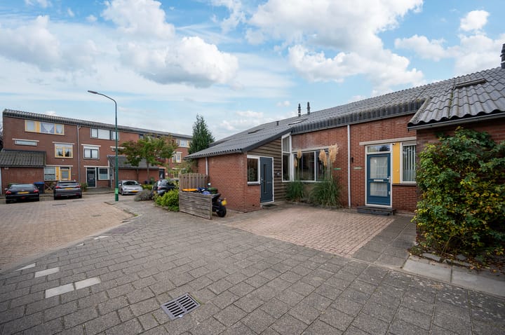 Foto 6 van Zebraspoor 400