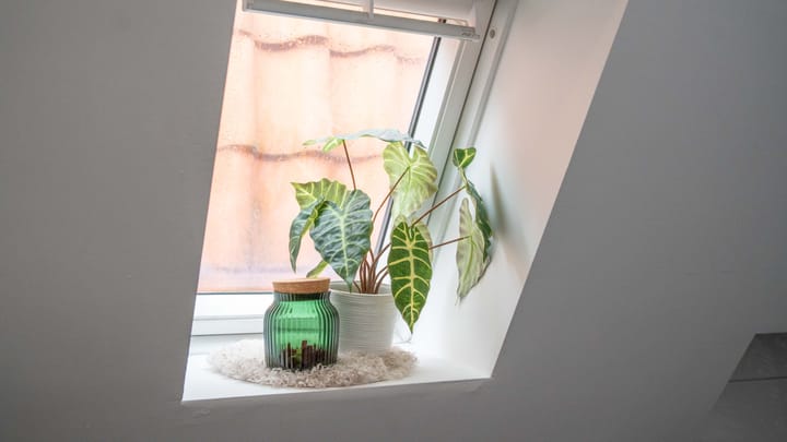 Foto 37 van Oude Vest 139-C