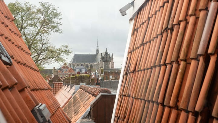 Foto 39 van Oude Vest 139-C