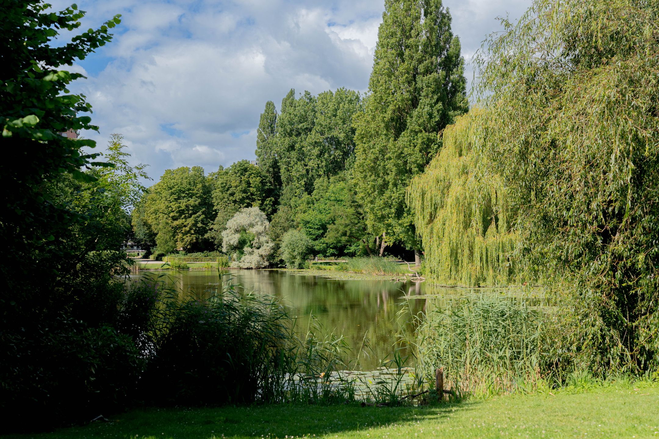 Foto 36 van Semarangstraat 13-C