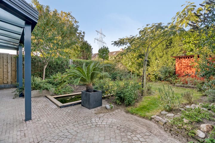 Foto 38 van Aurora 9